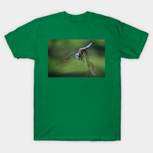 A Fly_By Greeting T-Shirt